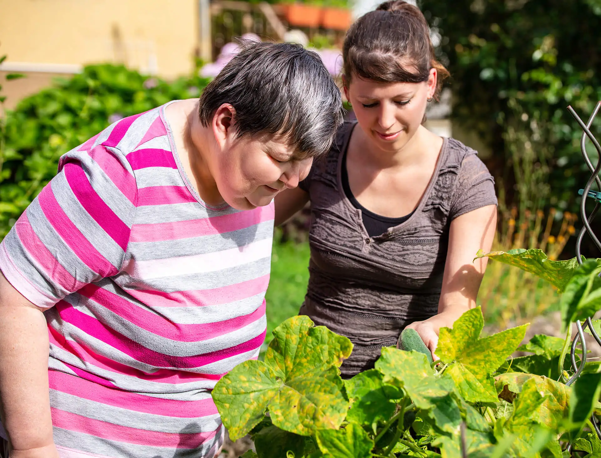 Disability support in England